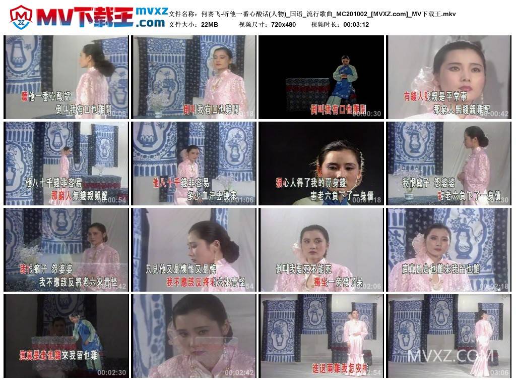 何赛飞-听他一番心酸话(人物)_国语_流行歌曲_MC201002